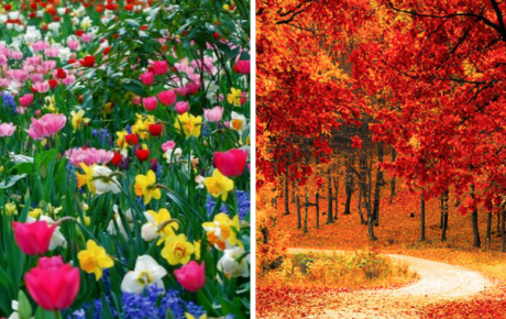 Color: Primavera y Otoño